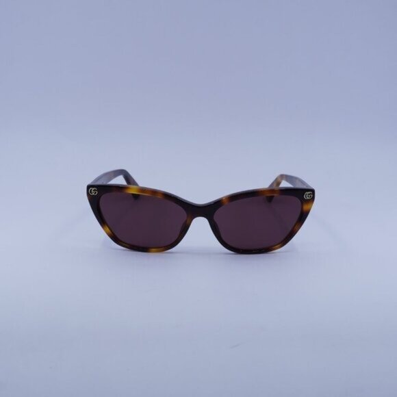 Gucci GG1815S 002 Sunglasses Havana Cat Eye Frame, Brown Lenses main image 8